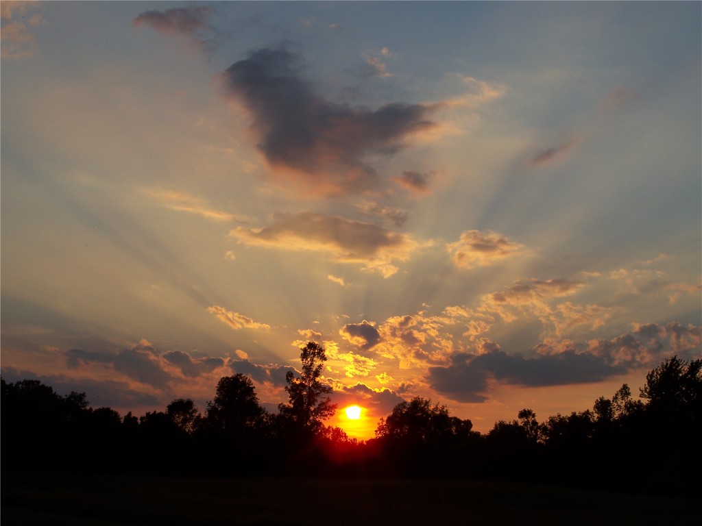 New Year, New beginings… a bit late